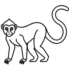 Minimalist Spider Monkey Line Art on White Background