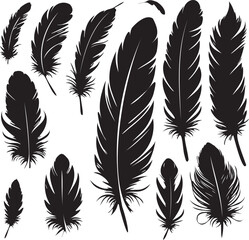 Obraz premium Feathers set silhouette vector 