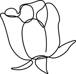 Stylized line art tulip is showing overlapping curved petals  and  two leaves on transparent backgro