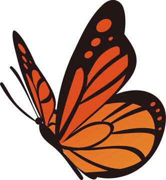Monarch-like butterfly wing is showcasing vector design on transparent background with orange spots