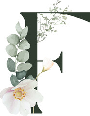 Floral F monogram is showing vector art on transparent backdrop with eucalyptus and white rose