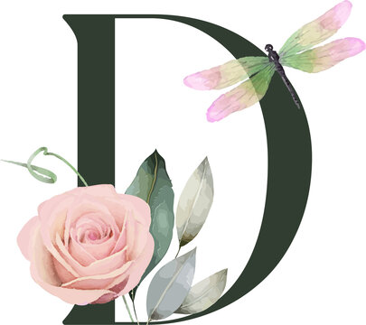 Showing stylized letter D on transparent background, with watercolor rose and pastel dragonfly