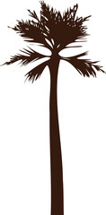 Stylized palm tree silhouette is standing on transparent background, highlighting fan-like leaves