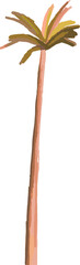 Stylized palm tree vector is showing slender trunk with radiating fronds on transparent background
