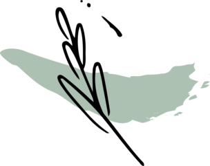 Abstract leafy branch is floating in line art over pale green brushstroke, transparent background