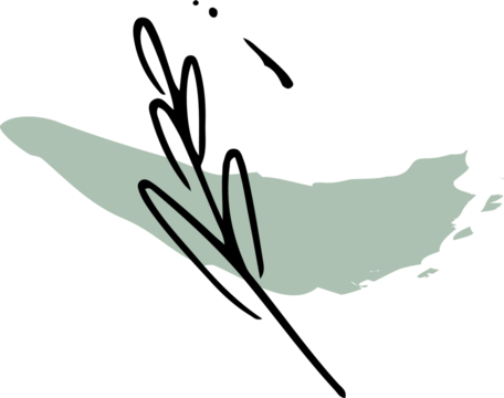 Abstract leafy branch is floating in line art over pale green brushstroke, transparent background