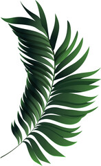 Tropical palm leaf frond is being shown in 3D style with gradient shading on transparent background