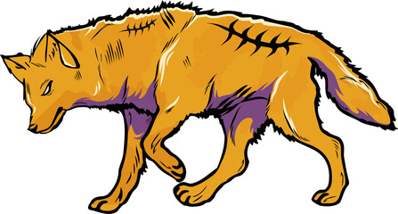Vector orange wolf is walking right on transparent background showing purple shading and scratches