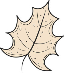 Flat cartoon maple leaf floating on transparent background showing dark outlines with dot patterns