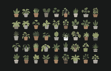 Collection of houseplants in pots flat design illustration