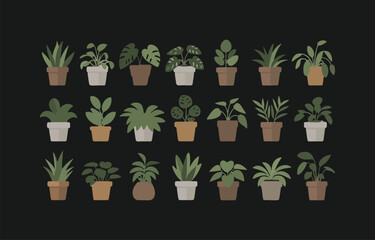 Collection of houseplants in pots flat design illustration