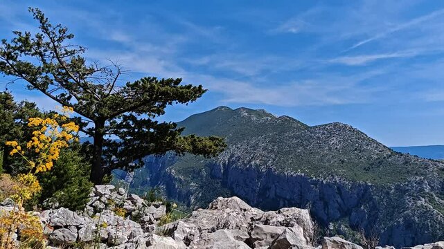 Scenic mountain view overlooking Omiska Dinara with vivid foreground vegetation