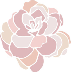 Vector flower is showing layered rose-like petals forming radial blossom, transparent background