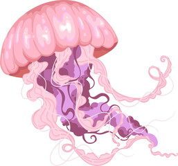 Stylized vector jellyfish is floating, pink-purple bell flowing tentacles, transparent background