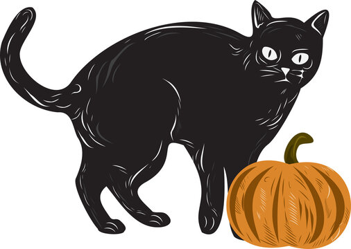 Fototapeta Black cat is standing beside orange pumpkin in cartoon illustration with transparent background