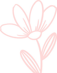 Displaying stylized pink line art flower on transparent background, highlighting petals stem leaves
