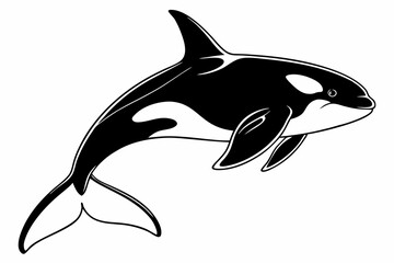 orca sihouette black vector