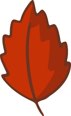 Obraz premium Red stylized autumn leaf is floating on transparent background, showing flat design, jagged edges