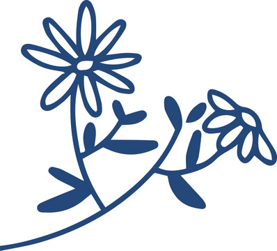 Fototapeta Flat line drawing is showing two daisy flowers on curved stem with leaves on transparent background