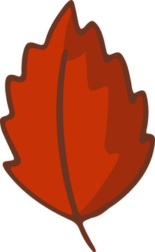 Fototapeta Red stylized autumn leaf is floating on transparent background, showing flat design, jagged edges
