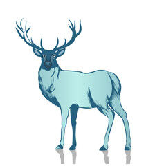 Stag is standing in flat design with white outline, blue and teal shades, transparent background