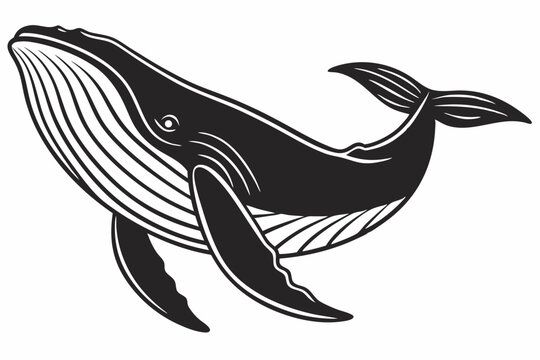 whale icon black sihouette vector