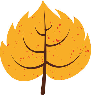 Fototapeta Flat design autumn leaf is showing yellow-orange hues and red speckles on transparent background