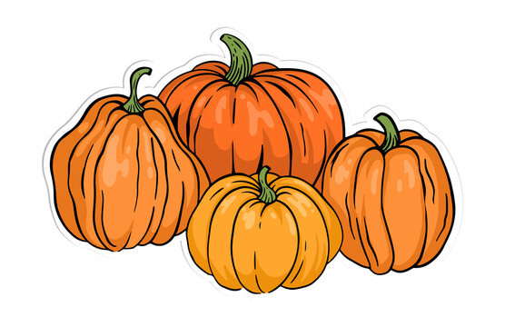 Fototapeta Four stylized pumpkins are floating in sticker style with white outline on transparent background