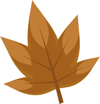 Fototapeta Stylized brown autumn leaf is floating in vector flat design, showing veins, transparent background