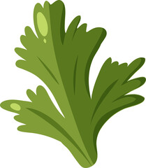 Cluster of green herb leaves are floating against transparent background in flat vector style