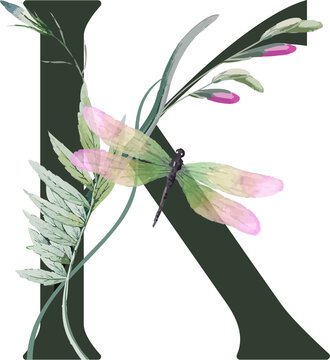 Letter K is featuring watercolor stems, pink buds and pastel dragonfly on transparent background