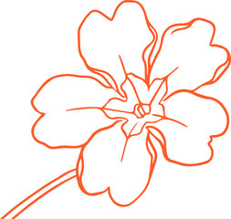 Flower is being shown on transparent background with stylized orange line art of stem and petals