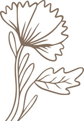 Continuous-line art is showing fan-shaped flower sprig with two leaves on transparent background