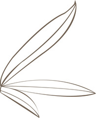 Brown leaf outlines are fanning in flat style on transparent background, abstract motif, copy space