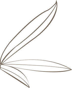 Fototapeta Brown leaf outlines are fanning in flat style on transparent background, abstract motif, copy space