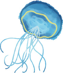 Watercolor jellyfish is floating on transparent backdrop with blue bell, light blue tentacles