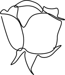Single rose flower being drawn in minimalist continuous black line design, transparent background