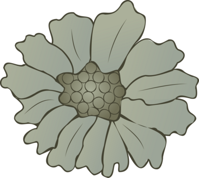 Stylized green flower is floating on transparent background, showing graphic petals and center