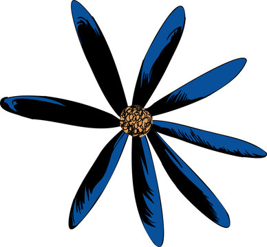Fototapeta Vector flower showing nine blue or black petals radiating from golden center, transparent background
