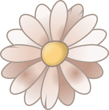 Fototapeta Daisy-like cartoon flower is being shown with pink petals and yellow center, transparent background