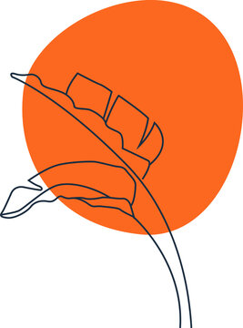 Fototapeta Stylized tropical leaf is floating in flat design over orange shape, transparent background