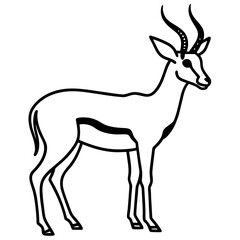 Springbok Outline Vector in Clean Minimal Style