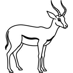 Springbok Outline Vector in Clean Minimal Style