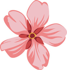 Vector pink blossom is showing five petals, yellow dots and red rays on transparent background