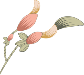 Showing flat design sprig with three curved stems, gradient buds, paired leaves on clear backdrop
