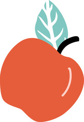 Displaying vector orange-red fruit with black stem, turquoise leaf, shine on transparent backdrop