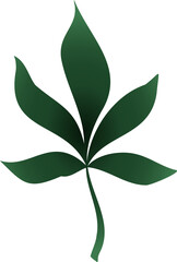 Stylized green palmate leaf is floating on transparent background, featuring smooth gradient design