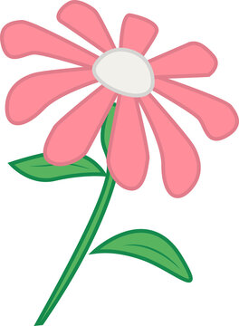 Fototapeta Pink daisy is showing flat design with white center, green stem and leaves, transparent background