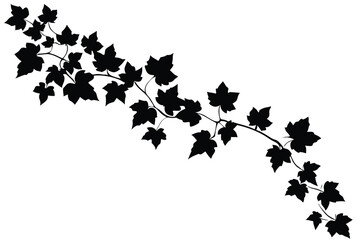 ivy leaves foliage trail design © Ruhel