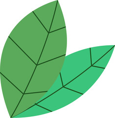 Two flat-design leaves are overlapping on transparent background with geometric veins, copy space